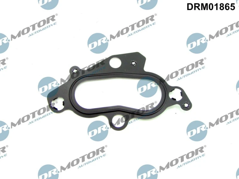 Image of DR.MOTOR AUTOMOTIVE Thermostat housing gasket DR.MOTOR AUTOMOTIVE DRM01865