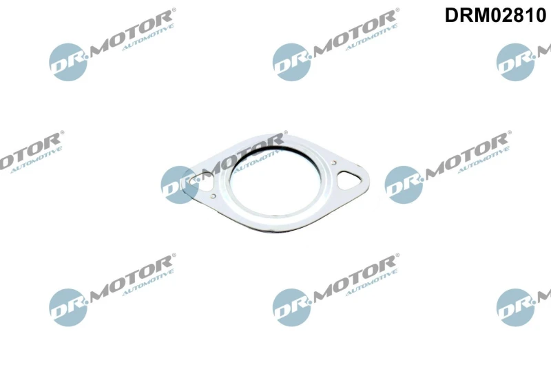 Image of DR.MOTOR AUTOMOTIVE Gasket, EGR valve pipe DR.MOTOR AUTOMOTIVE DRM02810