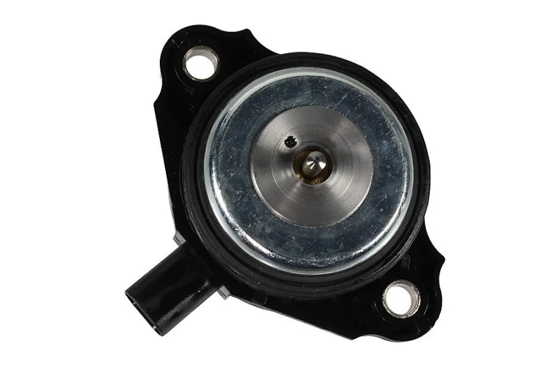 Image of Camshaft adjuster magnet METZGER 2411081