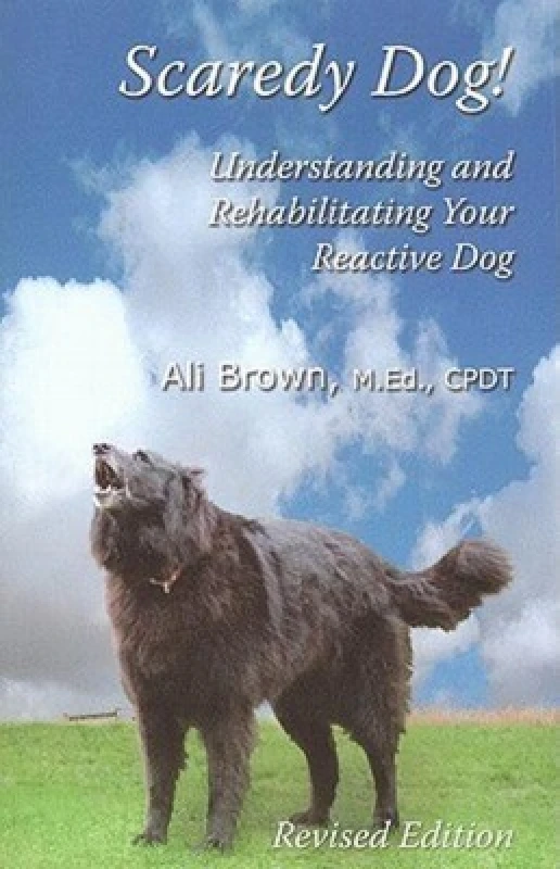 Image of Scaredy Dog by Brownt Paperback