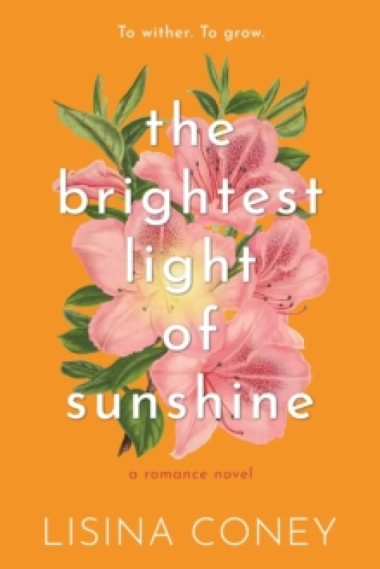 Image of Brightest Light of Sunshine Paperback / softback