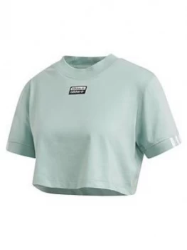 Image of adidas Originals Cropped T-Shirt - Green, Size 18, Women