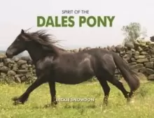 Image of Spirit of the Dales Pony