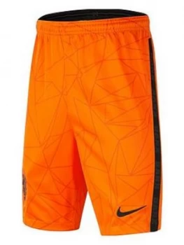 image of Nike Youth Holland Home 2020 Short Sleeved Stadium Shirt, Orange, Size M (10-11 Years)