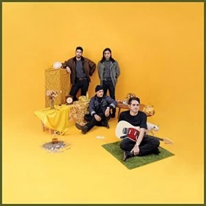 Image of Bulls and Roosters by Together Pangea CD Album