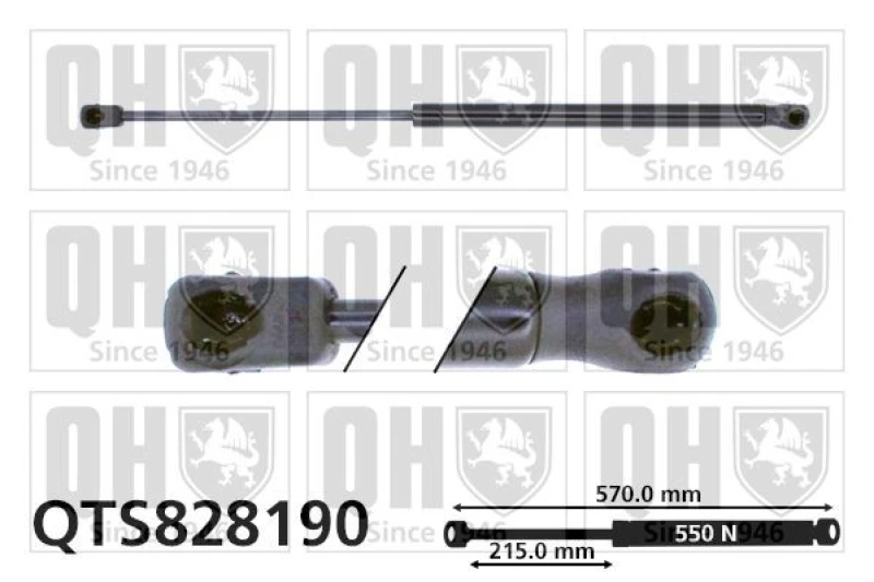 Image of QUINTON HAZELL Tailgate strut QUINTON HAZELL QTS828190