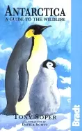 Image of antarctica a guide to the wildlife