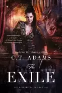 Image of exile book one of the fae