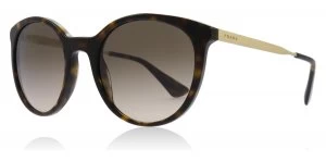Image of Prada Cinema Sunglasses Havana 2AU3D0 53mm