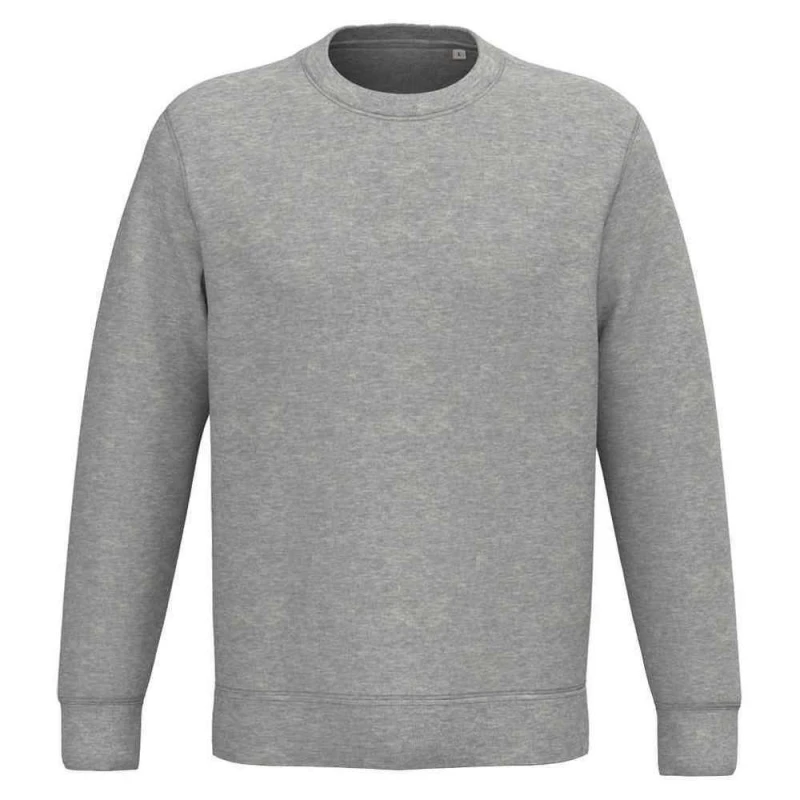 Image of Native Spirit NS443 womens Sweatshirts in Grey