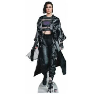 image of Birds of Prey Huntress Lifesized Cardboard Cut Out