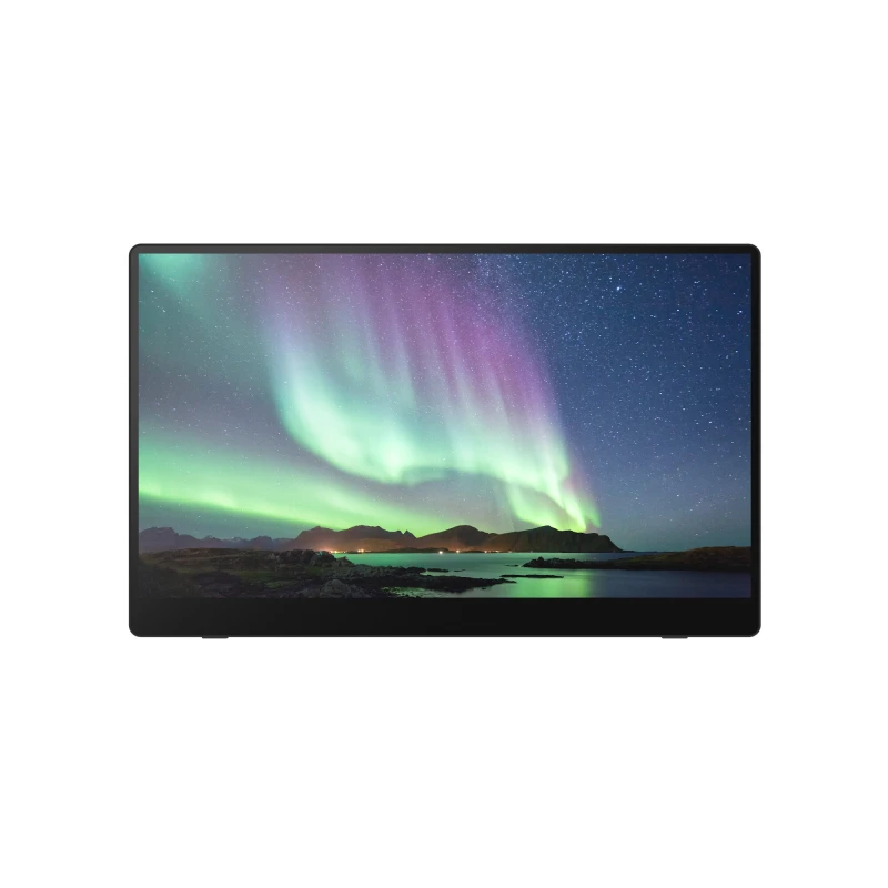 Image of Ricoh Ricoh Portable Monitor 150 514909