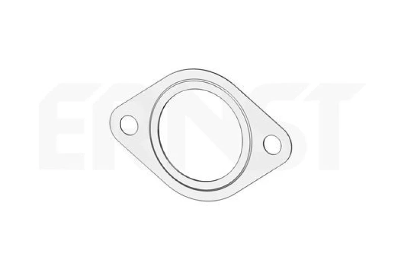Image of Exhaust pipe gasket ERNST 495479