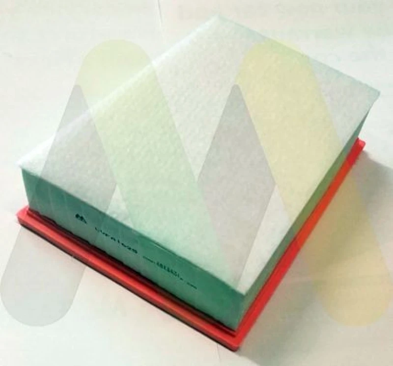 Image of MOTAQUIP Air filter MOTAQUIP LVFA1625
