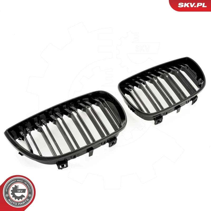 Image of ESEN SKV Radiator Grille ESEN SKV 66SKV005