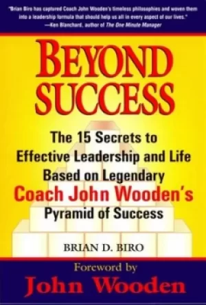 Image of Beyond success by Brian D Biro