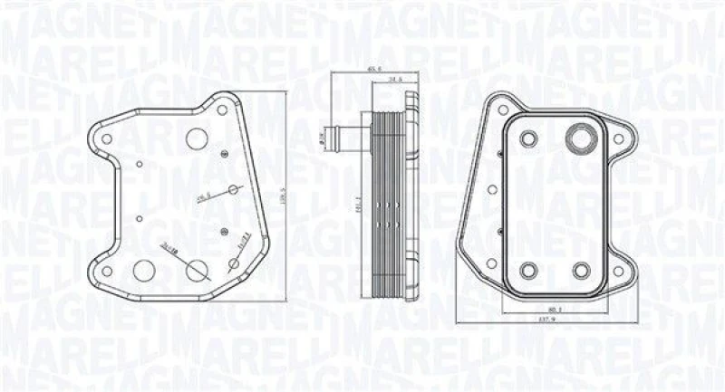 Image of MAGNETI MARELLI Engine oil cooler MAGNETI MARELLI 350300001700