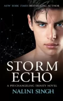 Image of Storm Echo : Book 6