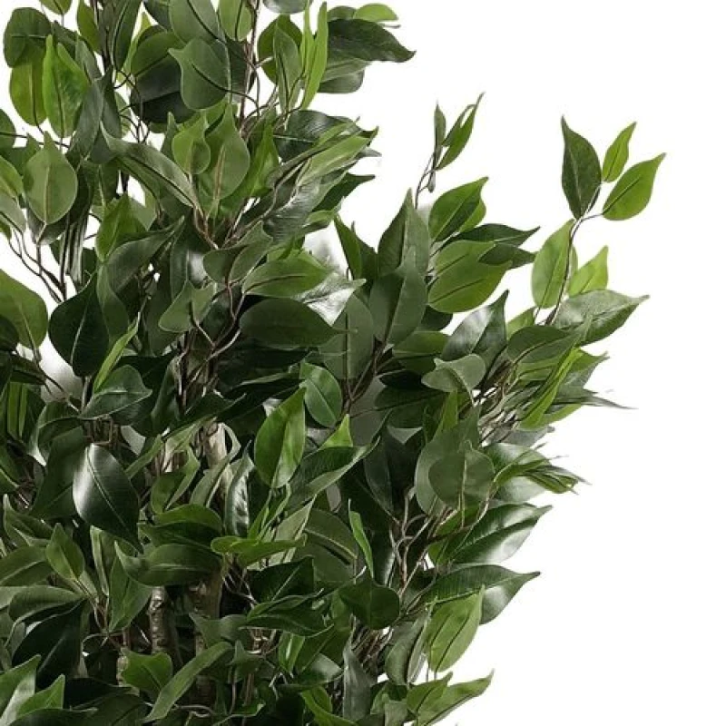 Image of Leaf 110cm Leaf Realistic Artificial Ficus Tree / Plant Gold Curve Planter