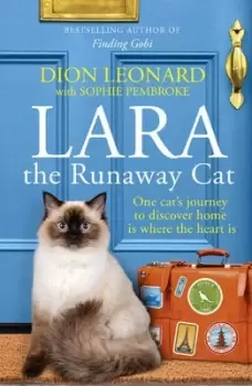 Image of Lara the runaway cat by Dion Leonard