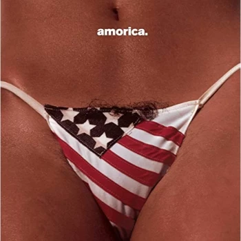Image of The Black Crowes - Amorica. CD