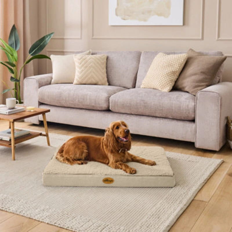 Image of Silentnight Firm Support Crate Mattress Pet Bed - Extra Large - Natural - Large One Colour WF9ZV Unisex