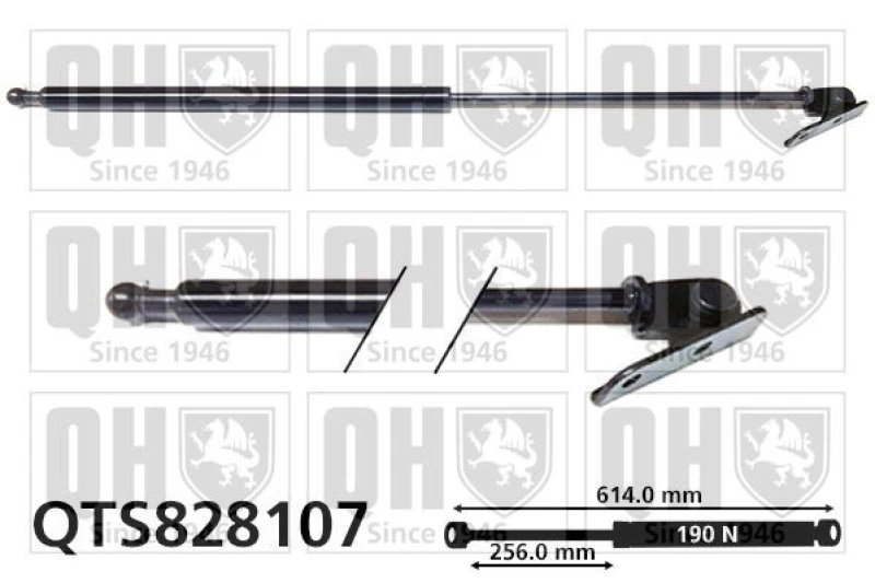 Image of QUINTON HAZELL Tailgate strut QUINTON HAZELL QTS828107