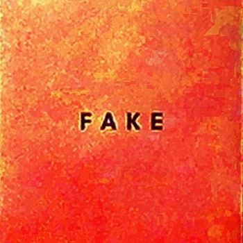 image of Die Nerven - Fake CD