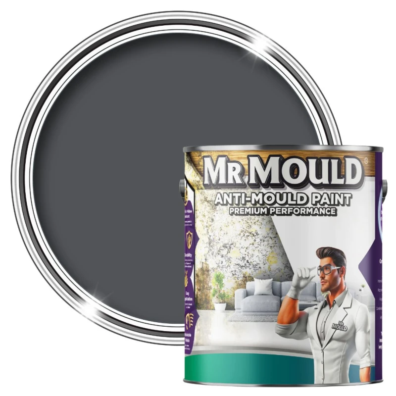 Image of MR MOULD Anti-Mould Paint - 1L - Best Anti Mould Protection Paint for all Interior Walls & Ceilings in Classic Grey Classic Grey Unisex 1L