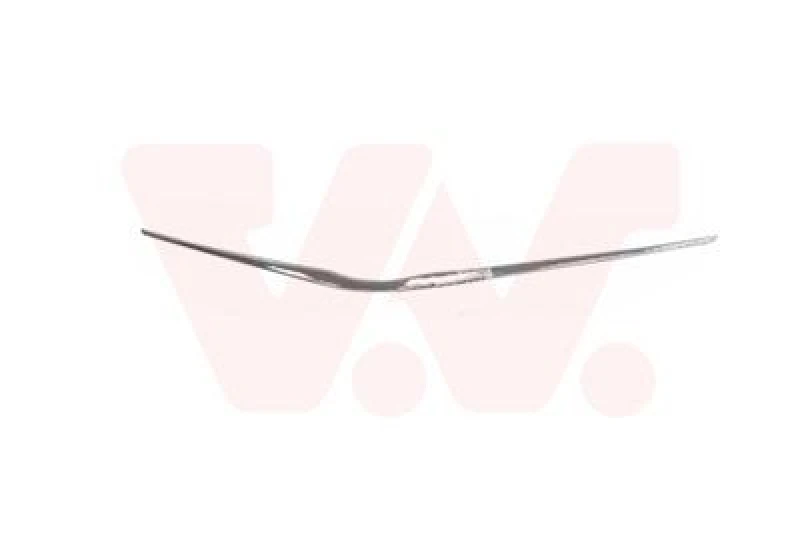 Image of VAN WEZEL Trim / Protective Strip, radiator grille VAN WEZEL 5437518