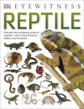 Image of Reptile by Colin McCarthy
