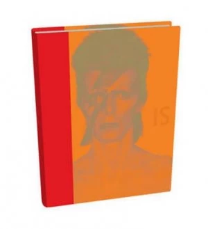 Image of David Bowie Is by Victoria Broackes Hardback