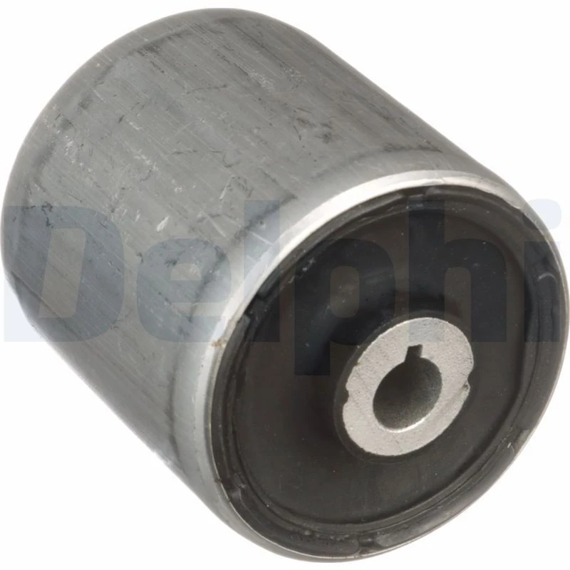 Image of DELPHI Trailing arm / Suspension arm bush DELPHI TD1638W