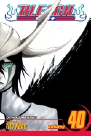 Image of bleach volume 40