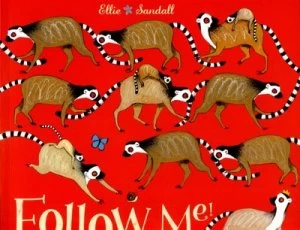 Image of Follow Me by Ellie Sandall Book