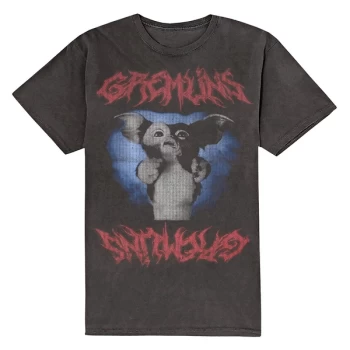 Warner Bros - Gizmo Graphic Unisex X-Large T-Shirt - Black