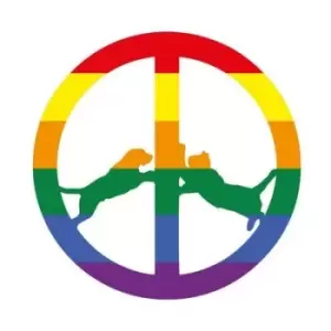 Image of Rainbow Edition by Hype Williams CD Album