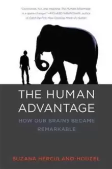 Image of The Human Advantage : How Our Brains Became Remarkable