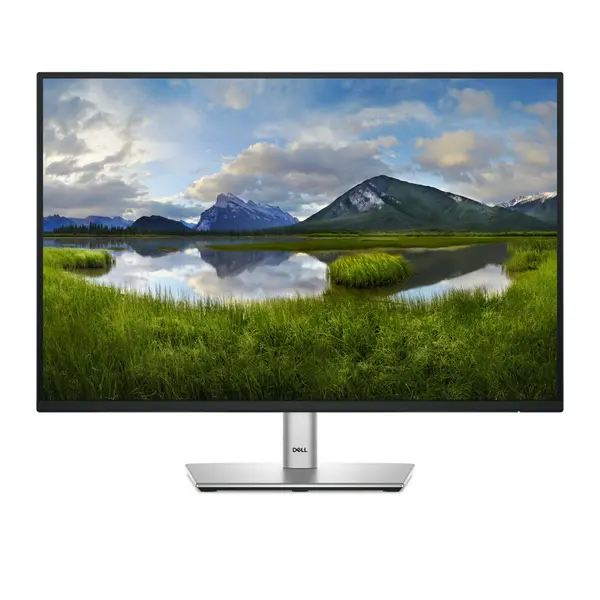 Image of DELL Pro Plus P2425E computer monitor 61cm (24") 1920 x 1200 pix