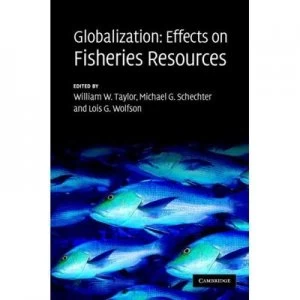 Image of Globalization by William W. Taylor Hardback