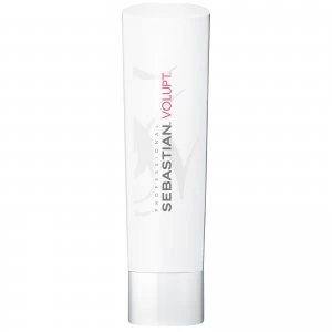 Image of Sebastian Professional Volupt Conditioner 250ml