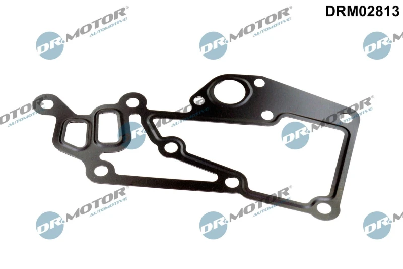 Image of DR.MOTOR AUTOMOTIVE Thermostat housing gasket DR.MOTOR AUTOMOTIVE DRM02813