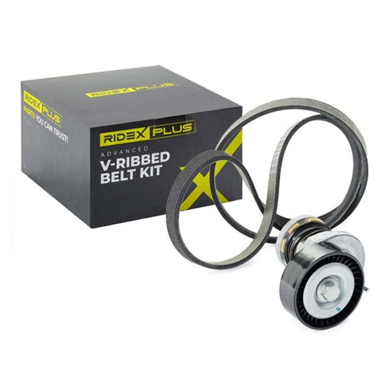 Image of RIDEX PLUS V-Ribbed Belt Set RIDEX PLUS 542R0008P