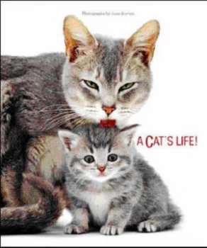 Image of Cats Life Hardback