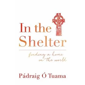 Image of In the Shelter: Finding a Home in the World by Padraig O Tuama (Paperback, 2016)