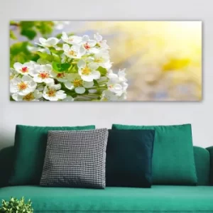 Image of YTYCCK9966_50120 Multicolor Decorative Canvas Painting