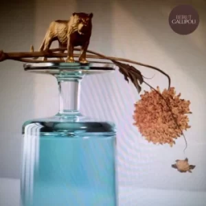 Image of Gallipoli by Beirut CD Album