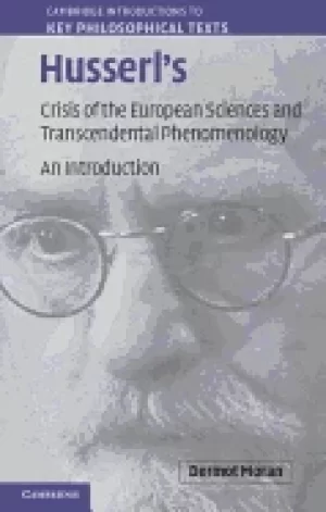 Image of husserls crisis of the european sciencesand transcendental phenomenology an