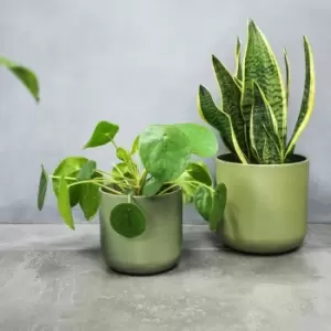 Image of Ivyline Lisbon Planter Olive - H26Cm D26Cm