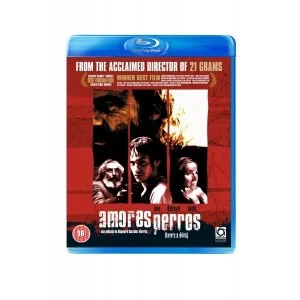 image of Amores Perros (Bluray)